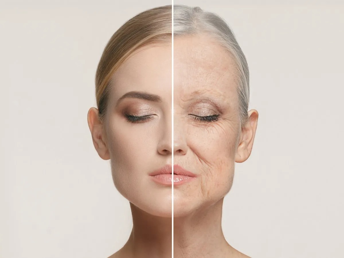 Skin aging mechanism